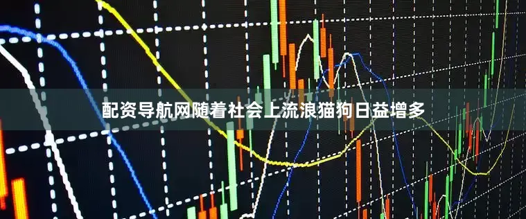 配资导航网随着社会上流浪猫狗日益增多